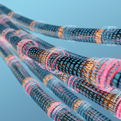What is different between Cat5e, Cat6, Cat6a, and Cat7?
